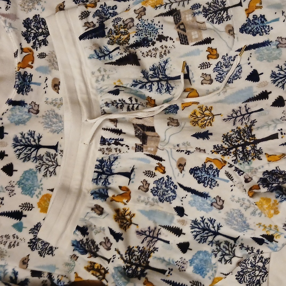 Secret Treasures pj's womens size small 4-6 Winter wonderland scene - Picture 6 of 9